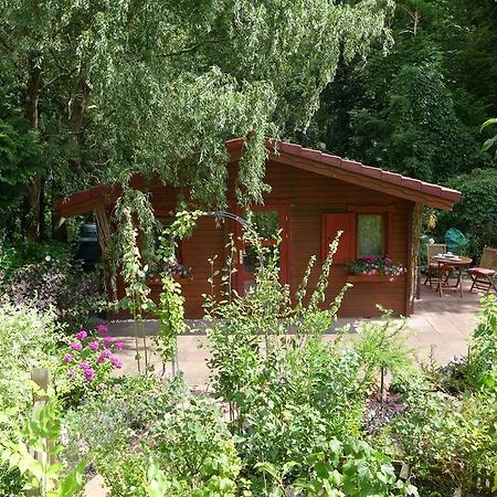 Ferienhaus Natura Neuruppin Værelse billede
