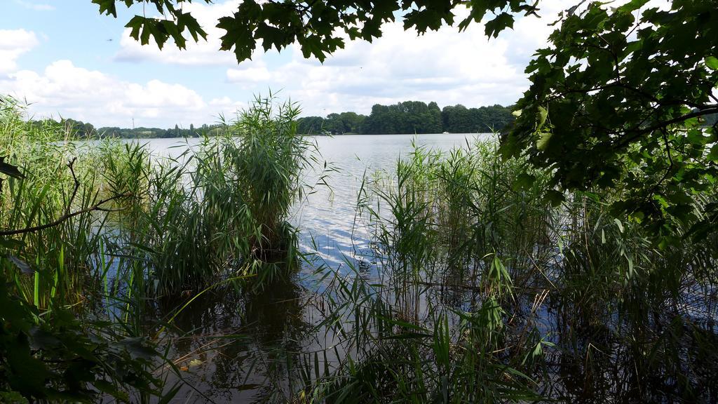 Ferienhaus Natura Neuruppin Værelse billede