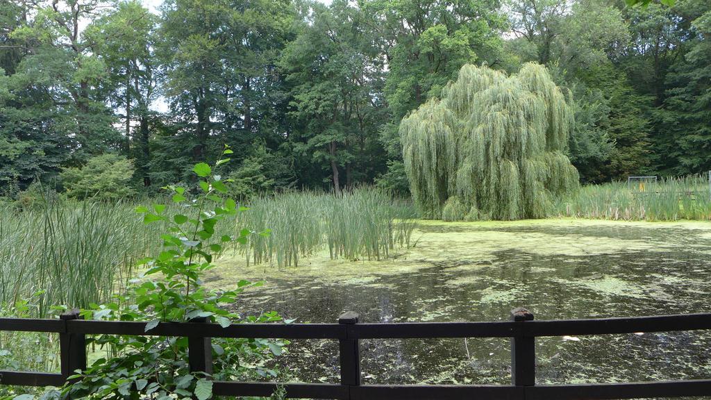 Ferienhaus Natura Neuruppin Værelse billede