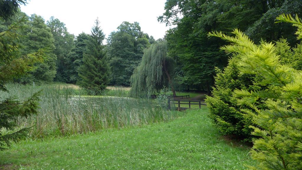 Ferienhaus Natura Neuruppin Værelse billede